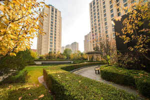 广渠金茂府南园 广渠金茂府南园